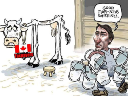 Liberalny Rzad podatkuje rodziny w Kanadzie