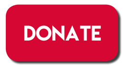 Donate now button