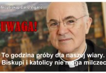 Archbishop Carlo Maria Viganò