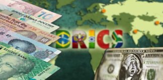 Gavin Yvonne BRICS currency-vs-petro dollars