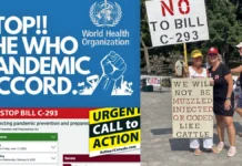 STOP Bill C-293 Zagrożenie rządem światowym "One World Government"