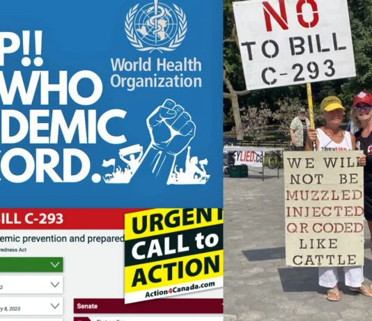 STOP Bill C-293 Zagrożenie rządem światowym "One World Government"