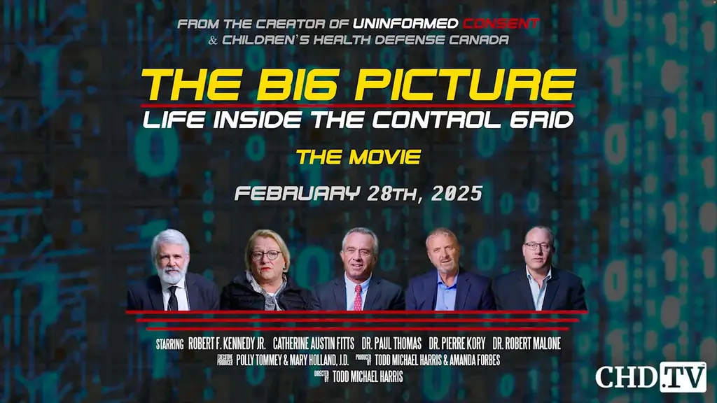 The Big Picture: Life Inside The Control Grid