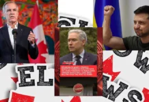 Elbows up! This is what Canada voted for.