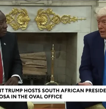 Trump South Africa President Have Shocking Argument about White Farmer Death Claims