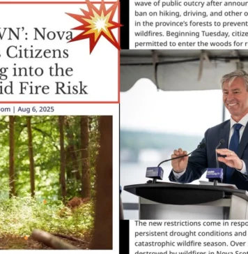 Nova Scotia’s forest ban.