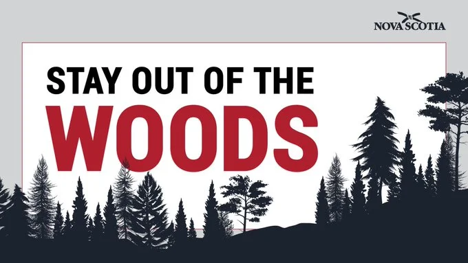 stay out of the woods