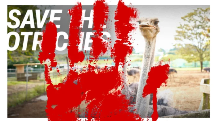 Save Canada Ostrich Farms top Save Canada's Ostrich Farms!