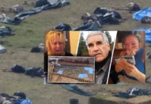 Universal Ostrich Farms The Ostrich Cull Controversy