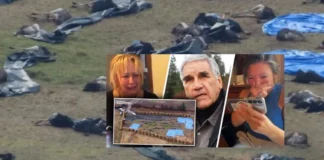 Universal Ostrich Farms – Edgewood, BC „To twój Liberalny rząd Carney’a właśnie to zrobił. “ Universal Ostrich Farms The Ostrich Cull Controversy