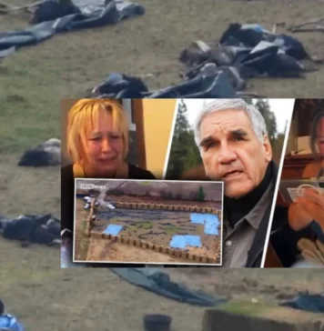 Universal Ostrich Farms The Ostrich Cull Controversy