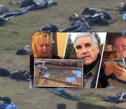 Universal Ostrich Farms The Ostrich Cull Controversy