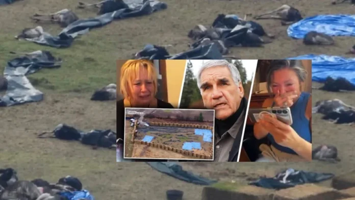 Universal Ostrich Farms The Ostrich Cull Controversy