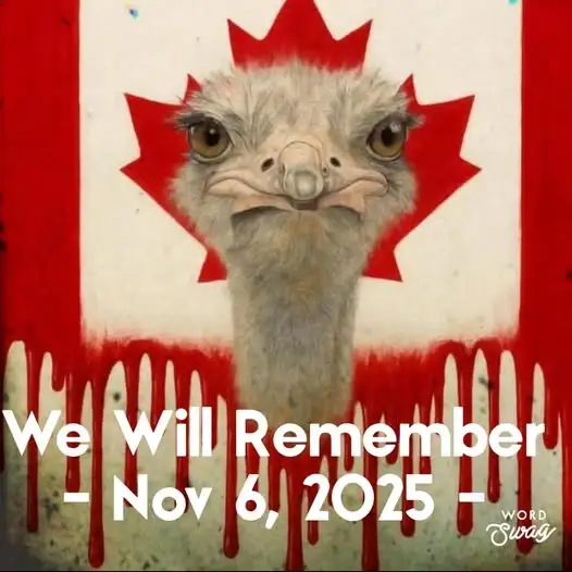 remember november 6