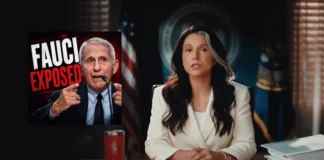 TULSI GABBARD Exposing Dr. Fauci