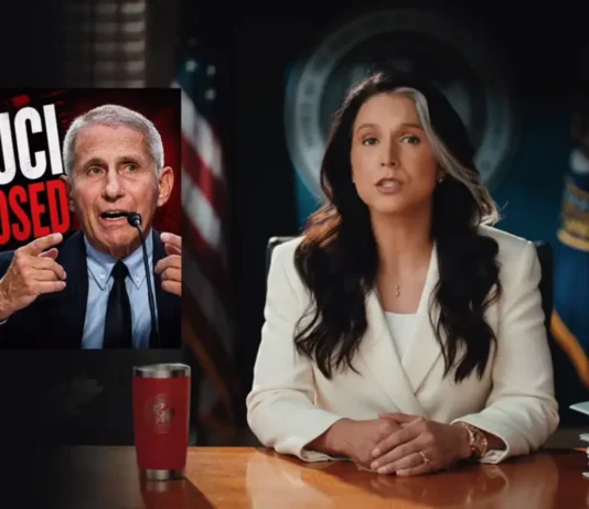 TULSI GABBARD stwierdza, że FAUCI kłamał w sprawie COVID-19! TULSI GABBARD Exposing Dr. Fauci