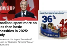 Taxes versus the Necessities of Life_ The Canadian Consumer Tax